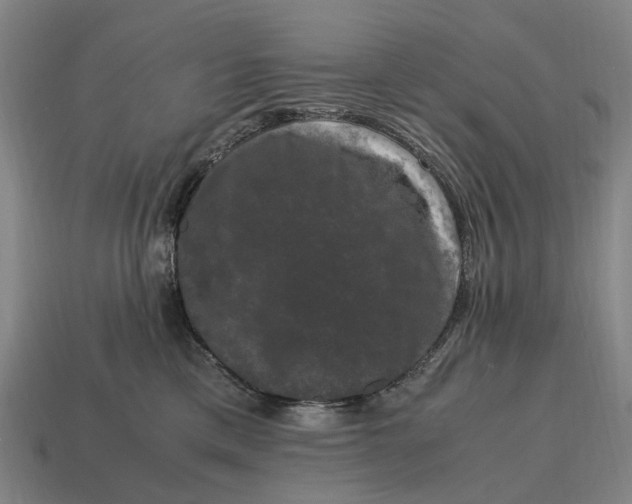 X0000115100425200911101548