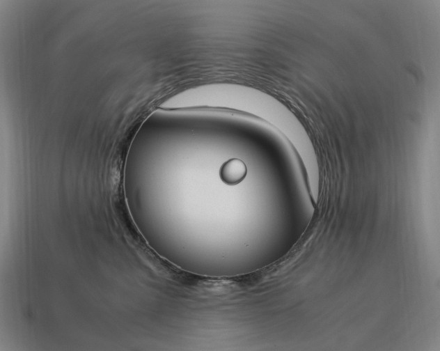 X0000115100427200911101548