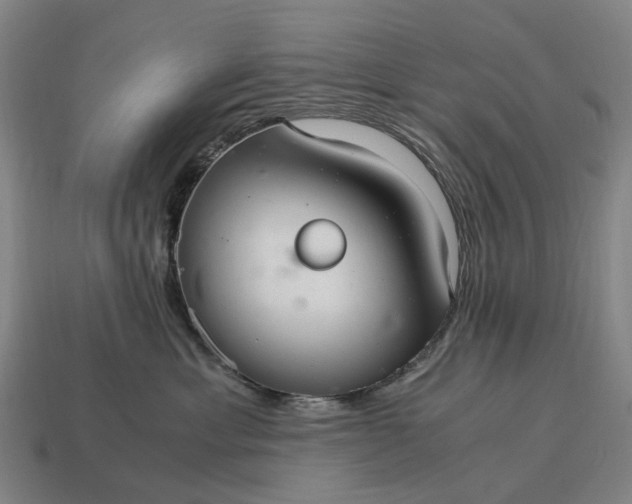 X0000115100429200911101548