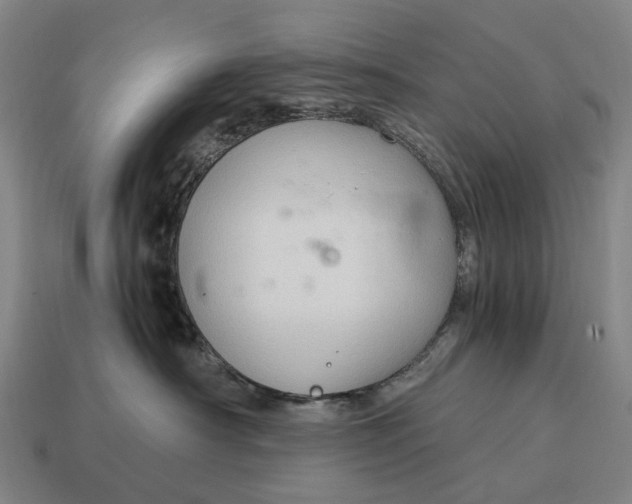 X0000115100430200911101548