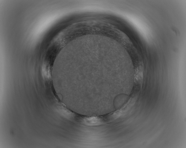 X0000115100431200911101548