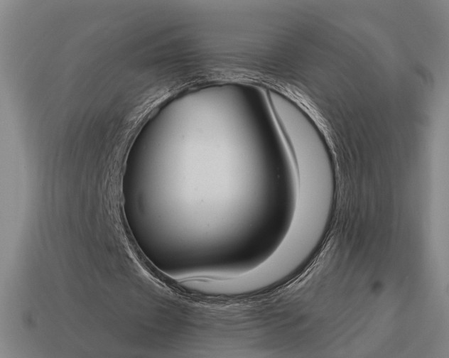 X0000115100433200911101547