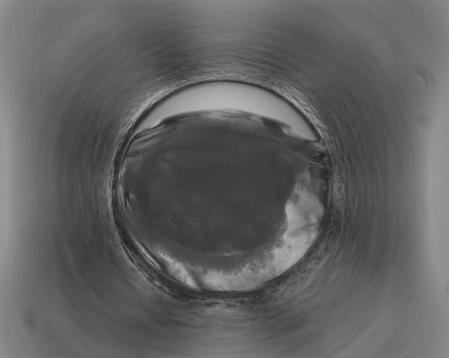 X0000115100434200911101547