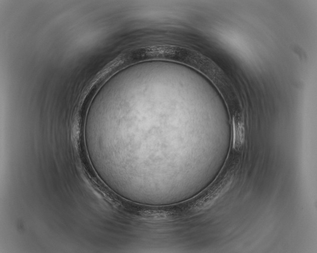 X0000115100435200911101547