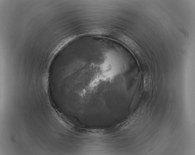 X0000115100436200911101547