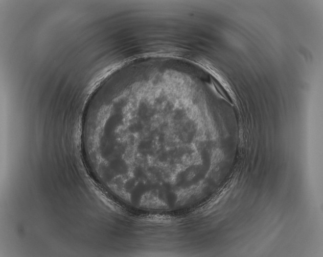 X0000115100437200911101547