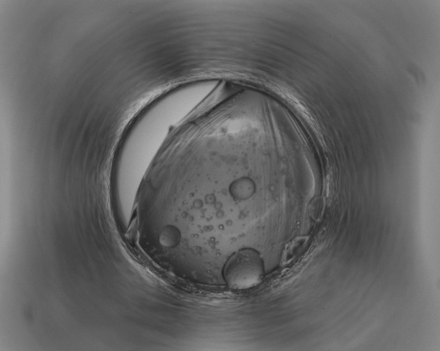 X0000115100438200911101548
