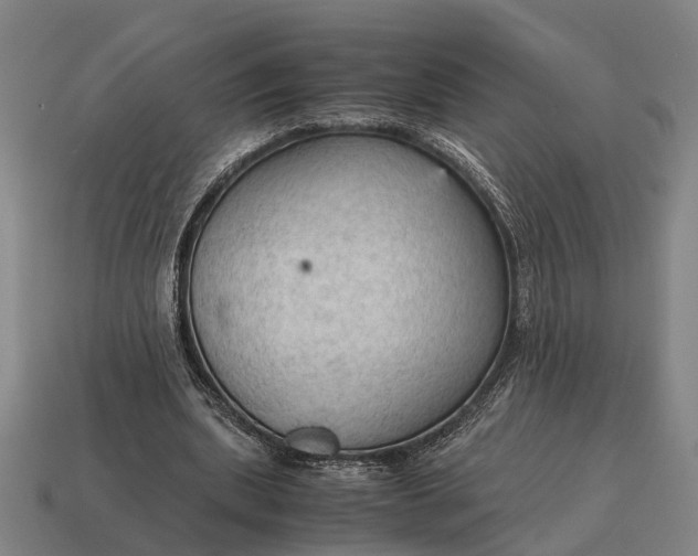 X0000115100439200911101548