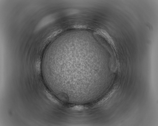 X0000115100441200911101548