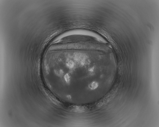 X0000115100442200911101548