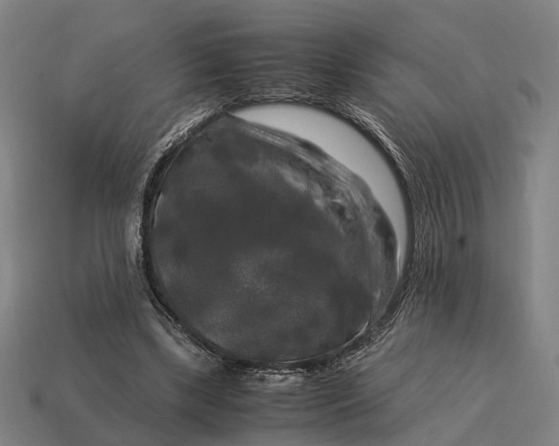 X0000115100443200911101548