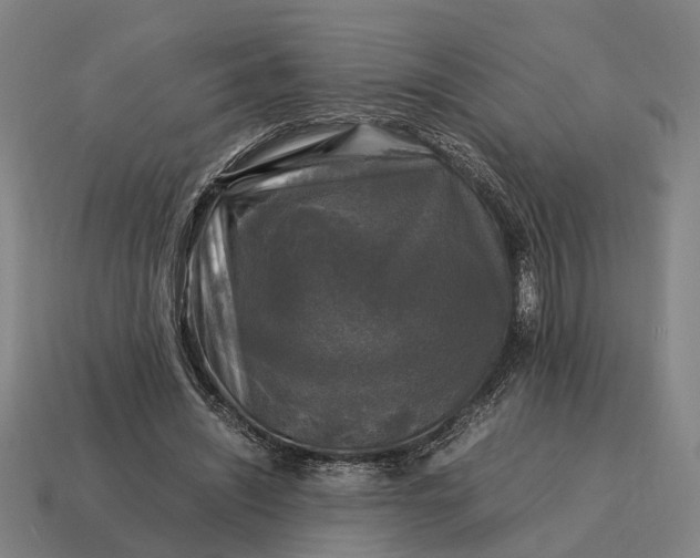 X0000115100444200911101548