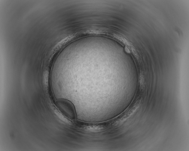 X0000115100445200911101548