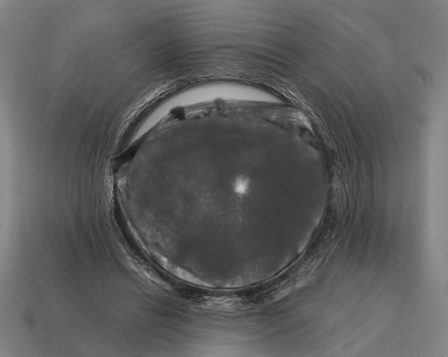 X0000115100446200911101548