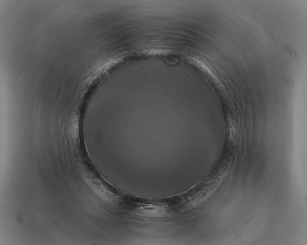 X0000115100447200911101548