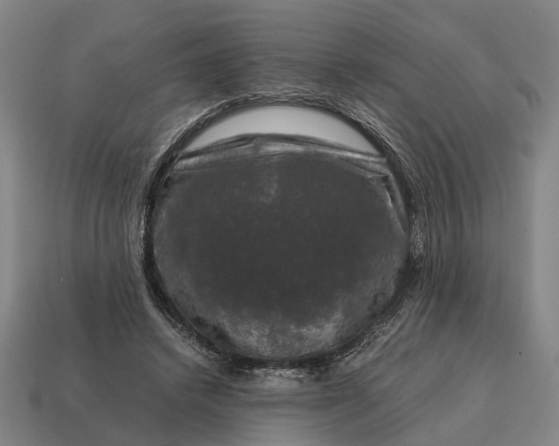 X0000115100448200911101548