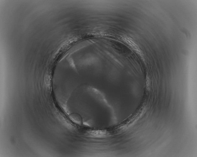 X0000115100449200911101548