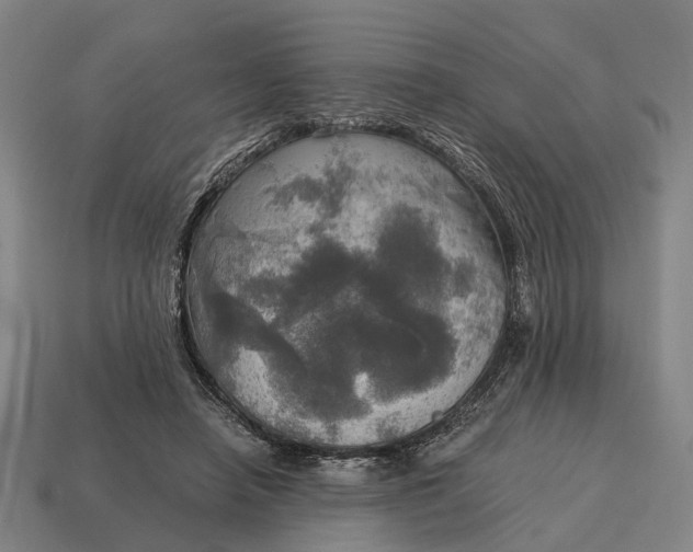 X0000115100450200911101548