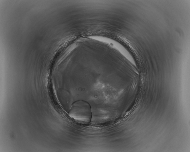 X0000115100451200911101548