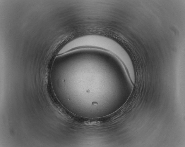 X0000115100452200911101548