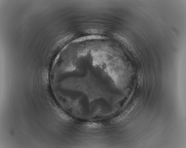X0000115100453200911101548