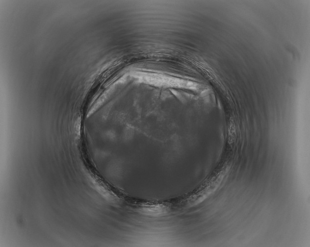 X0000115100454200911101548
