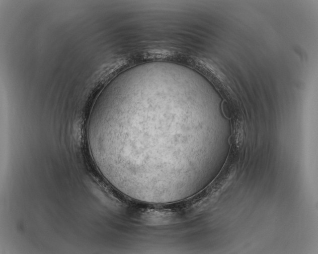 X0000115100455200911101548
