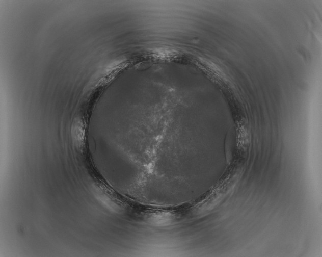 X0000115100456200911101548