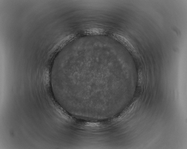 X0000115100457200911101548