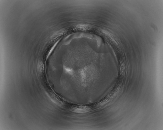 X0000115100459200911101548