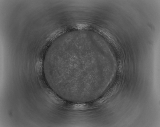 X0000115100461200911101548