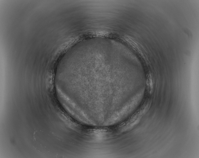 X0000115100462200911101548