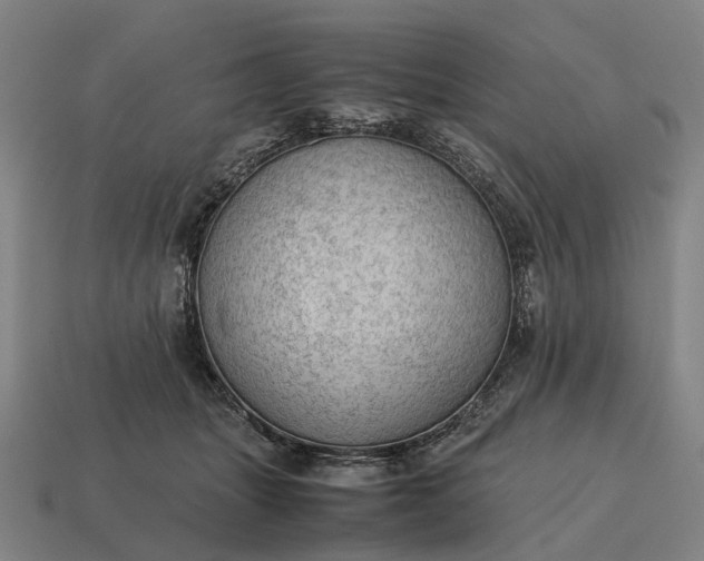 X0000115100463200911101548