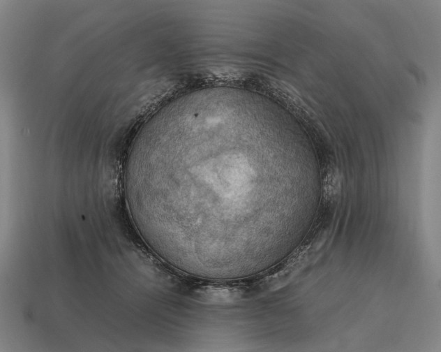 X0000115100464200911101548