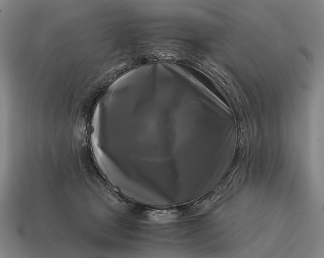 X0000115100465200911101548