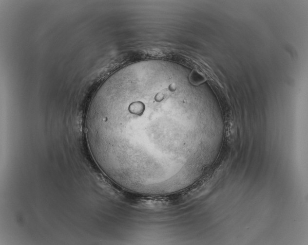 X0000115100466200911101548