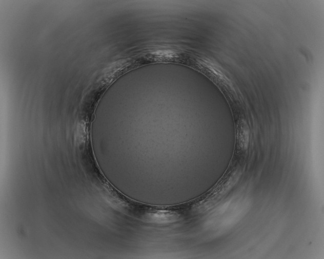X0000115100467200911101548