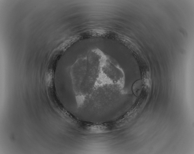 X0000115100468200911101548