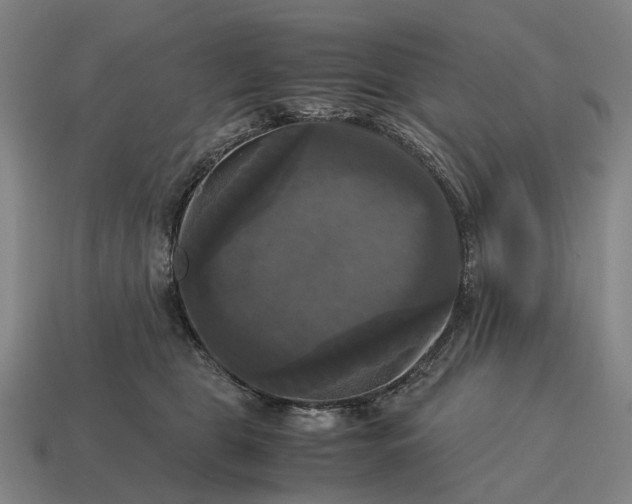 X0000115100469200911101548