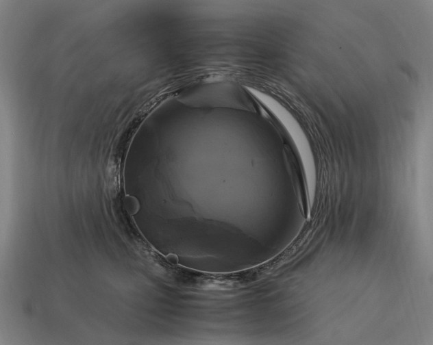 X0000115100471200911101548