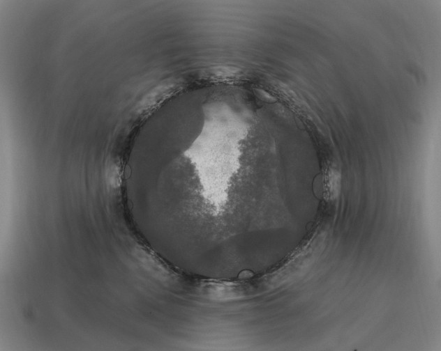 X0000115100472200911101548