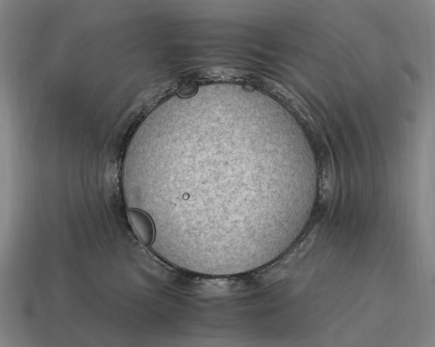 X0000115100473200911101548