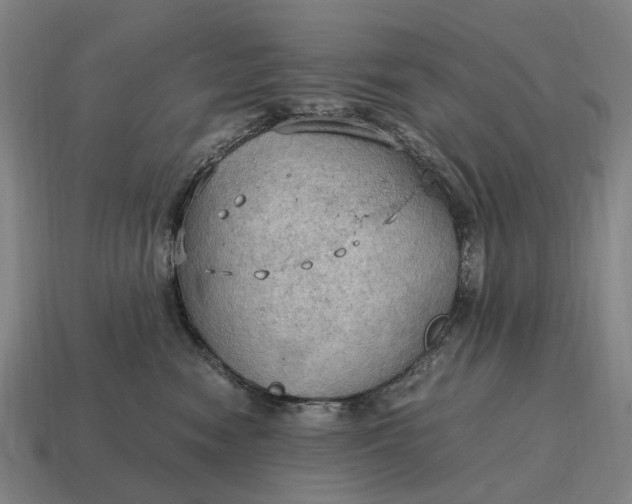 X0000115100474200911101548
