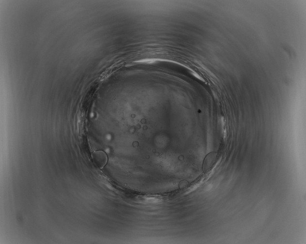 X0000115100475200911101548