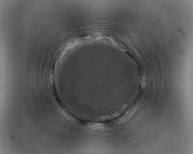 X0000115100476200911101548