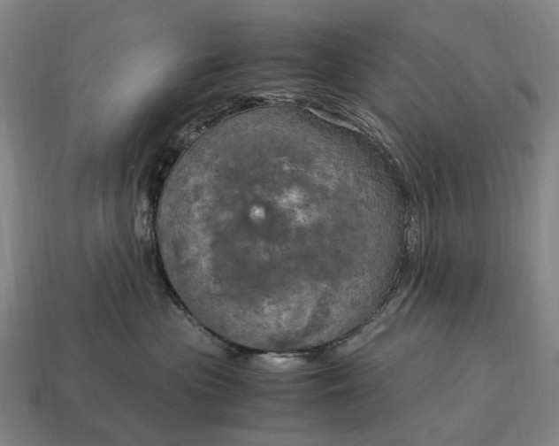 X0000115100477200911101548