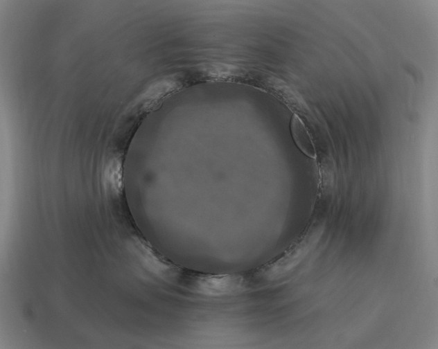 X0000115100479200911101548