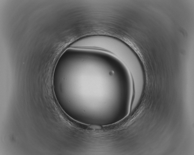 X0000115100481200911101547