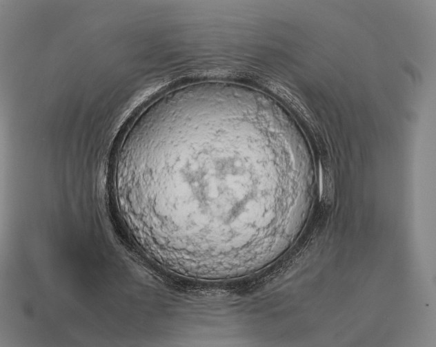 X0000115100483200911101547