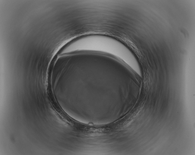 X0000115100484200911101547